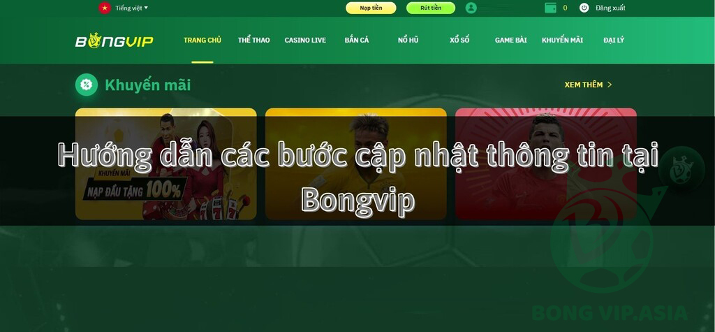 cập nhật thông tin bongvip