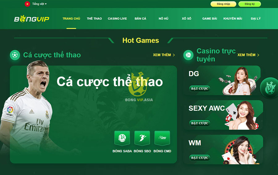 Cá cược thể tại tại Bóng VIP