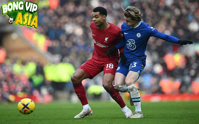 Soi kèo Liverpool vs Chelsea Ngày 20/10/2024