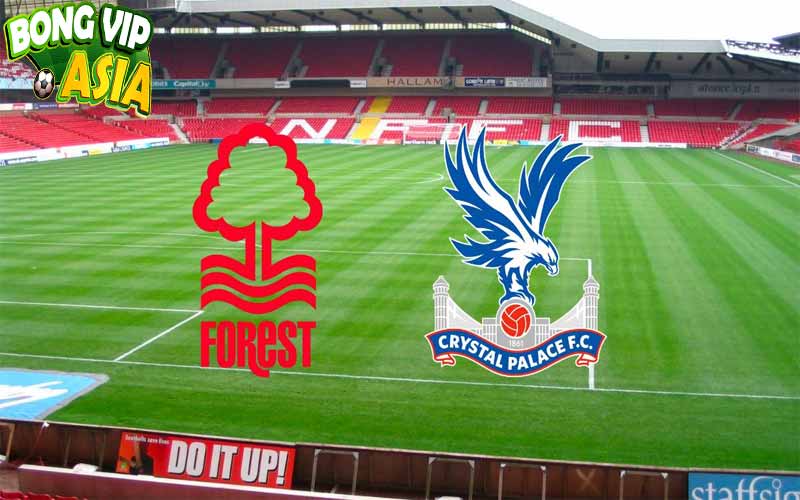 Soi kèo Nottingham vs Crystal Palace Ngày 20/10/2024