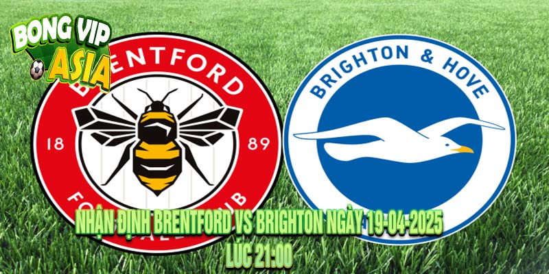 Nhận định Brentford vs Brighton Ngày 19-04-2025