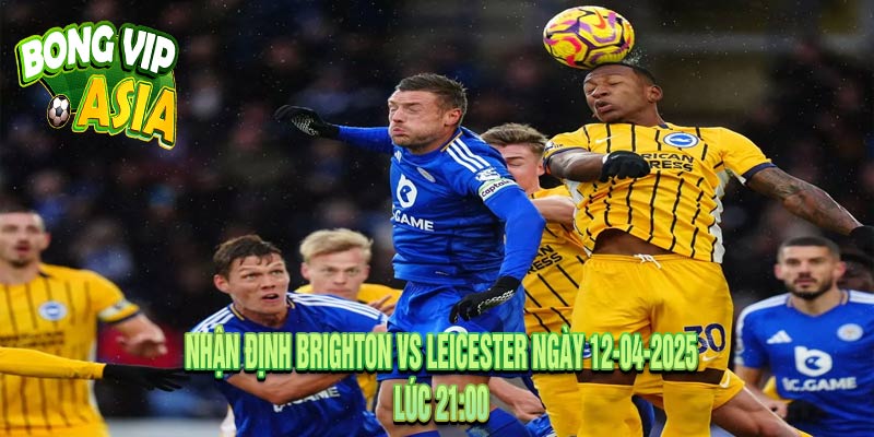 Nhận định Brighton vs Leicester Ngày 12-04-2025