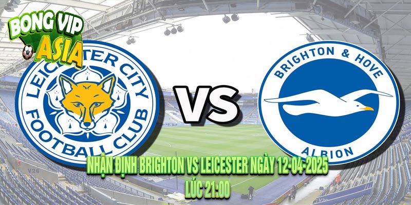 Nhận định Brighton vs Leicester Ngày 12-04-2025