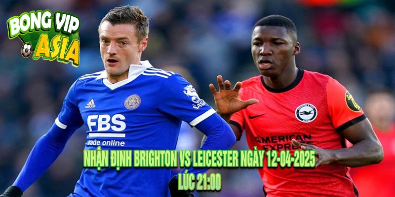 Nhận định Brighton vs Leicester Ngày 12-04-2025