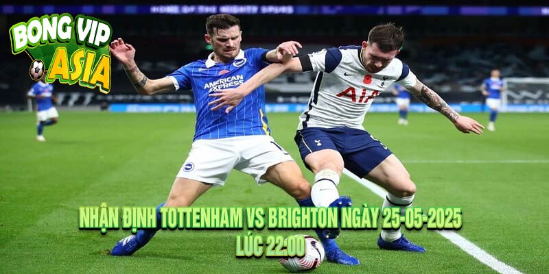 Nhận Định Tottenham vs Brighton Ngày 25-05-2025