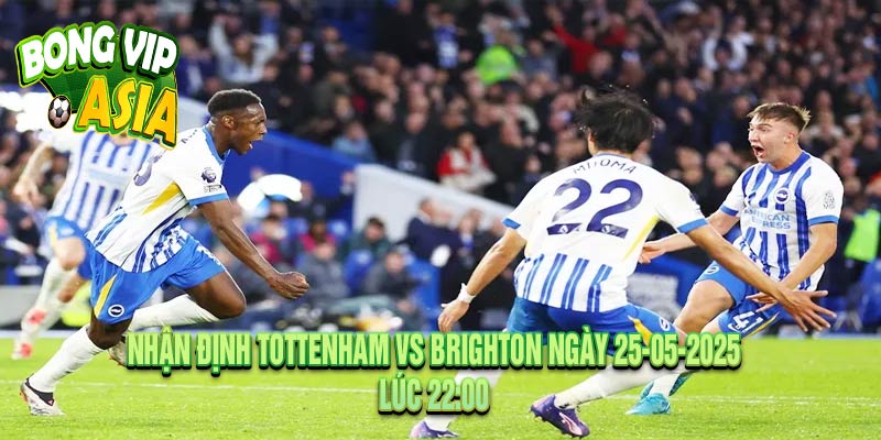 Nhận Định Tottenham vs Brighton Ngày 25-05-2025