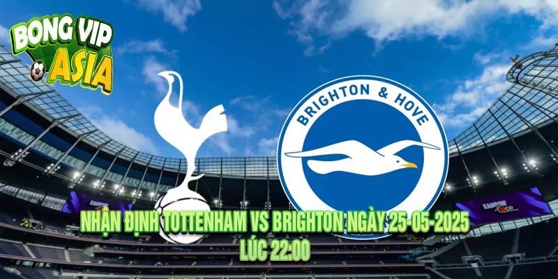 Nhận Định Tottenham vs Brighton Ngày 25-05-2025