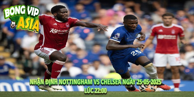 Nhận định Nottingham vs Chelsea Ngày 25-05-2025