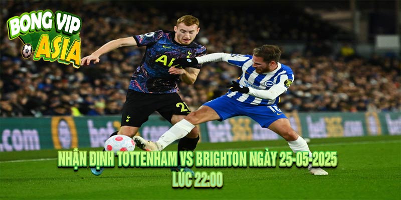 Nhận Định Tottenham vs Brighton Ngày 25-05-2025
