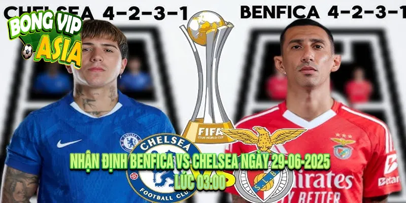 Nhận định Benfica vs Chelsea Ngày 29-06-2025