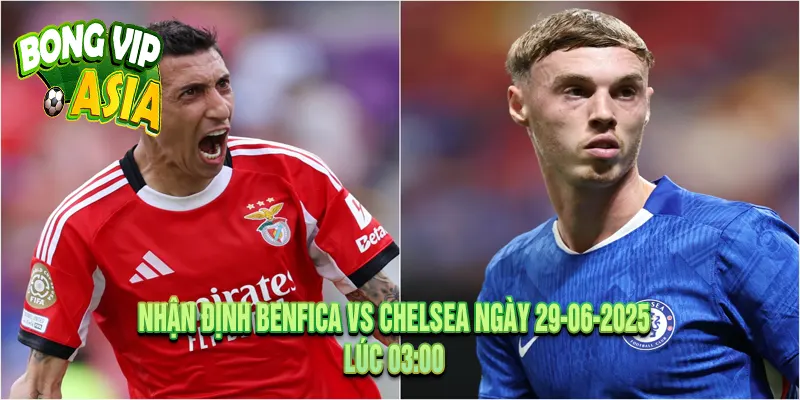 Nhận định Benfica vs Chelsea Ngày 29-06-2025