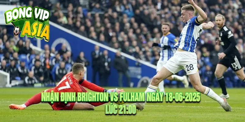 Nhận Định Brighton vs Fulham Ngày 18-06-2025