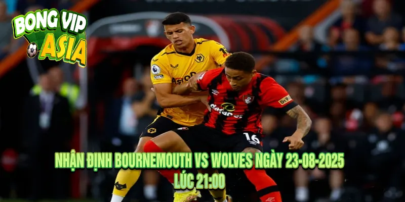 Dự kiến nhận định Bournemouth vs Wolves