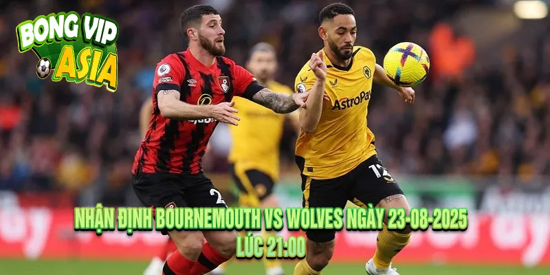 Phân tích phong độ thi đấu giữa Bournemouth vs Wolves