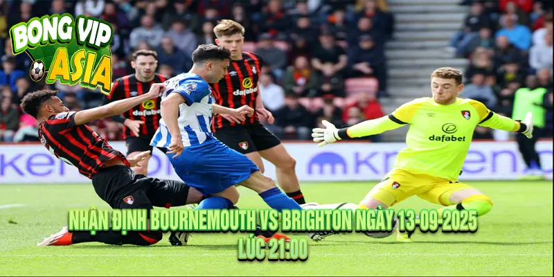 Phân tích phong độ thi đấu giữa Bournemouth vs Brighton