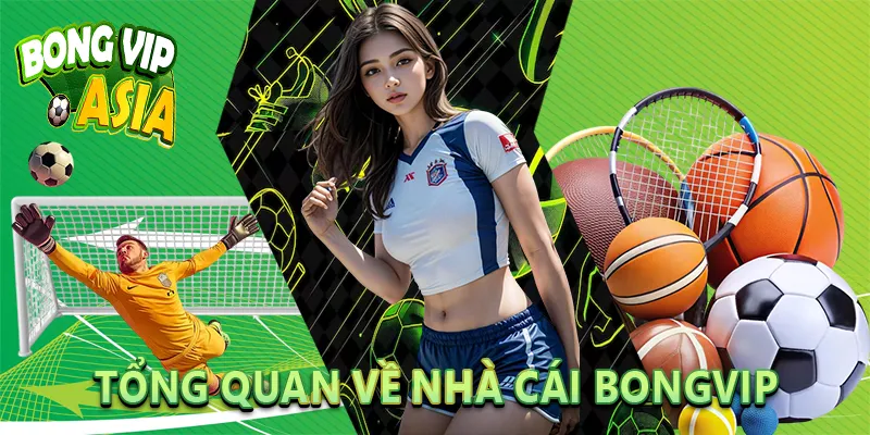 Tổng quan về nhà cái BongVip